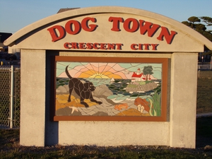 Picture of dog park mosaic sign